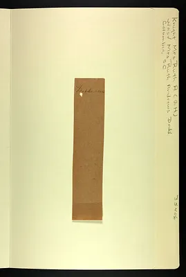 p. 9