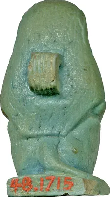 p. 5