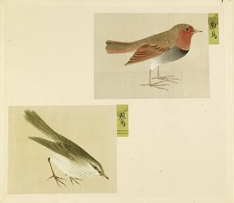 Leaf from Album Depicting Small Birds