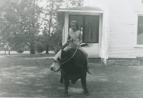 Young Girl on a Bull, Waterloo, 1961