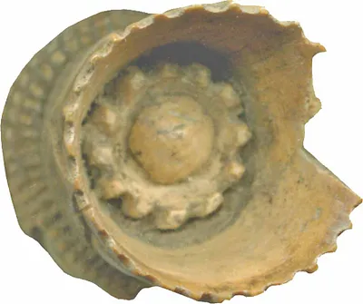 p. 5