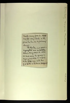 p. 11