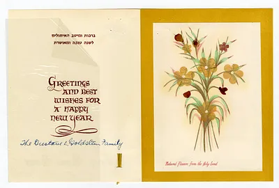 p. 33