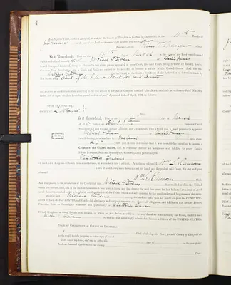 p. 31