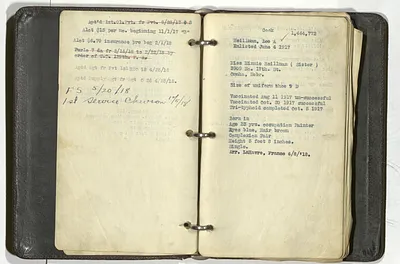 p. 5