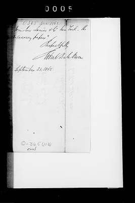 p. 8