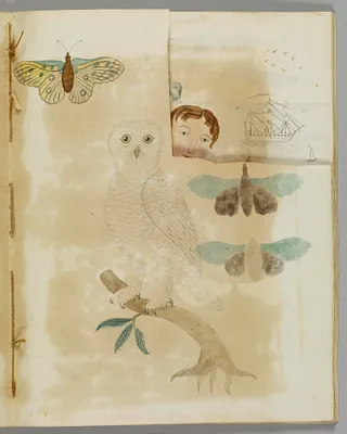 Emblematical Figures, Representations and Etc. to Please the Eye
