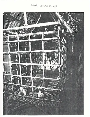 p. 4