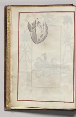 Border, folio 1 (verso), from Florilegium (A Book of Flower Studies)