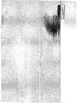 p. 30