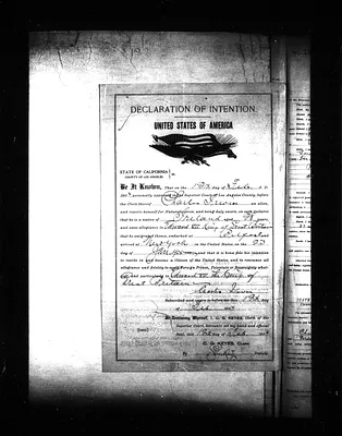 p. 45