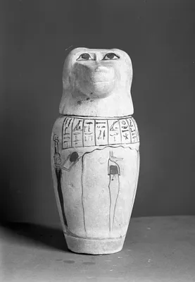 Canopic Jar with Baboon Head