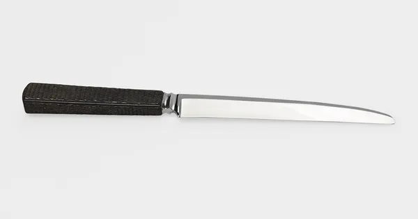 Amputation Knife