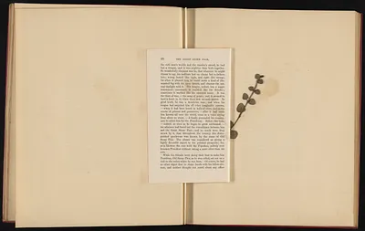 p. 25