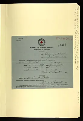 p. 49