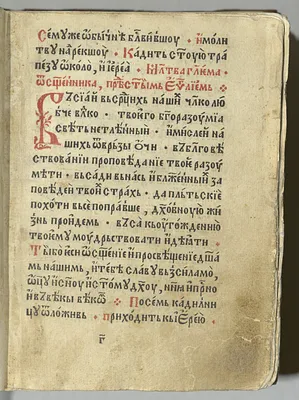 p. 29