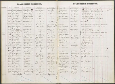 p. 8