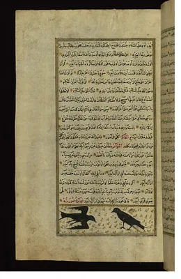 Two Swallows
